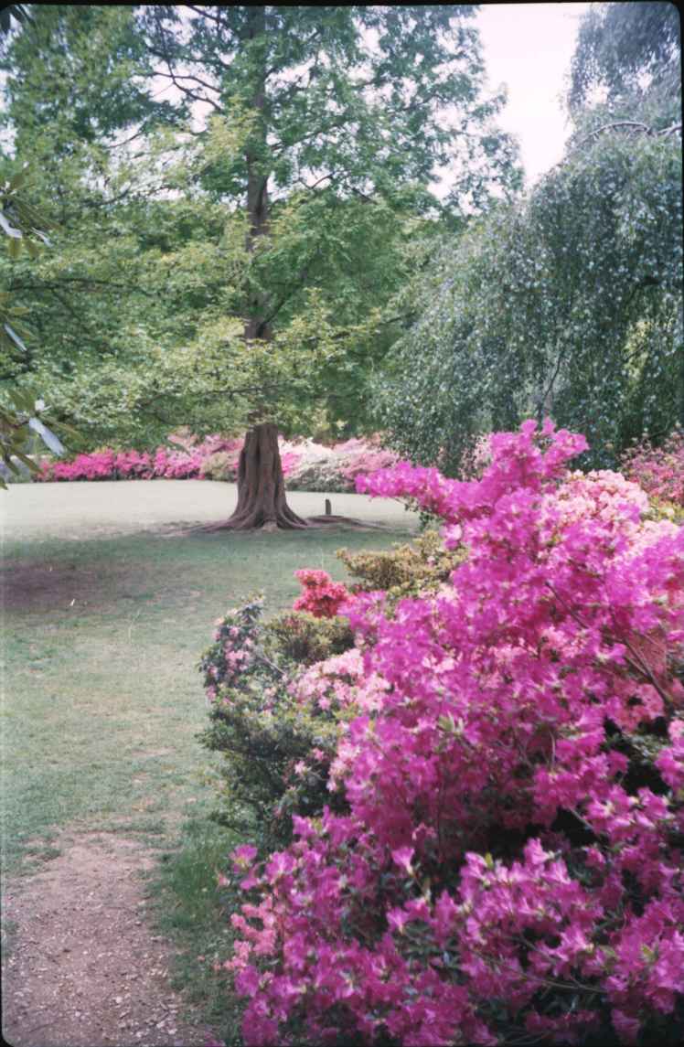 Isobella Plantations 1.jpg