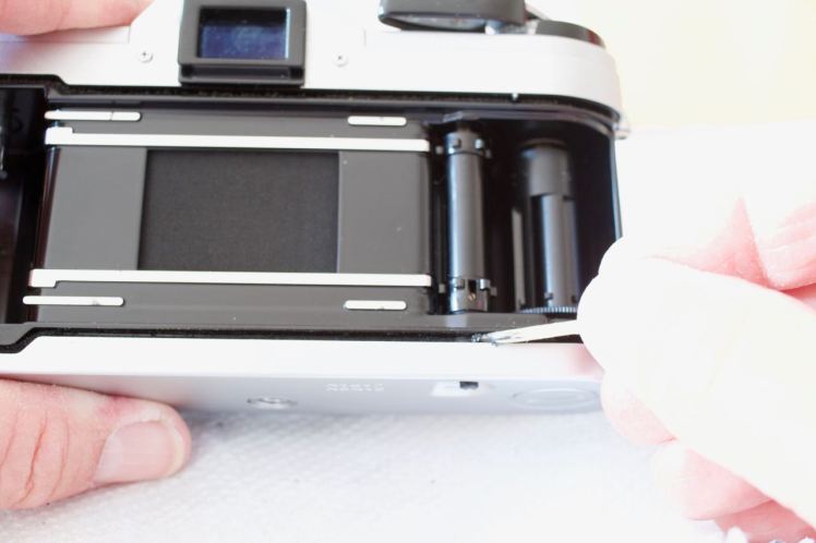 12Light Seals Project